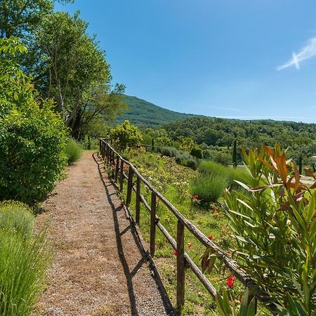 Borgo Fastelli - House In Historical Borgo In Tuscany - Sambuco Sarteano Dış mekan fotoğraf